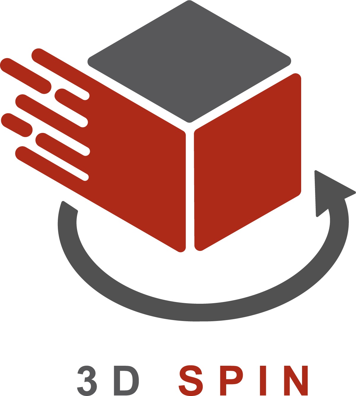 3DSPIN